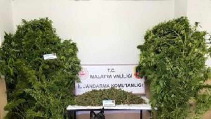 Malatya'da 2 kilo 365 gram kubar esrar ile 25 kök kenevir bitkisi ele geçirildi, 2 zanlı tutuklandı