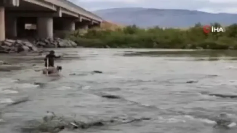 Nehirde mahsur kalan köpek kurtarıldı