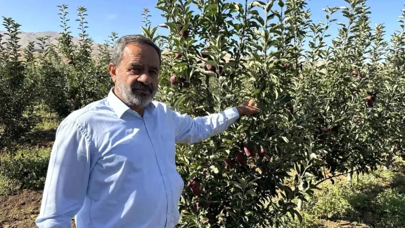 Malatya'da Elma Hasadı Başladı, Üreticiler Soğuk Hava Deposu İstiyor